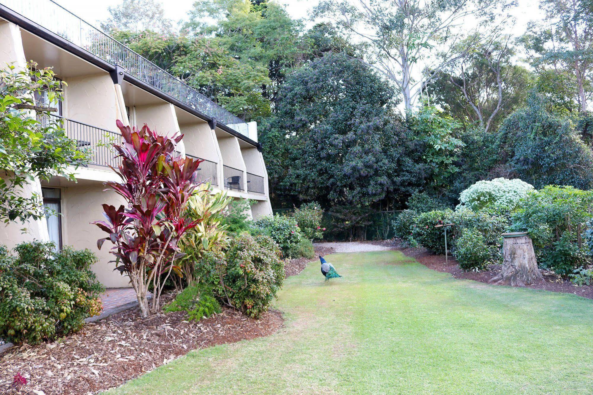 The Tamborine - Boutique Hotel Mount Tamborine Dış mekan fotoğraf